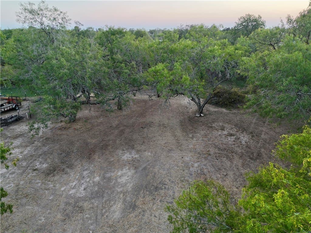 0.2 acres in San Patricio County - photo 4
