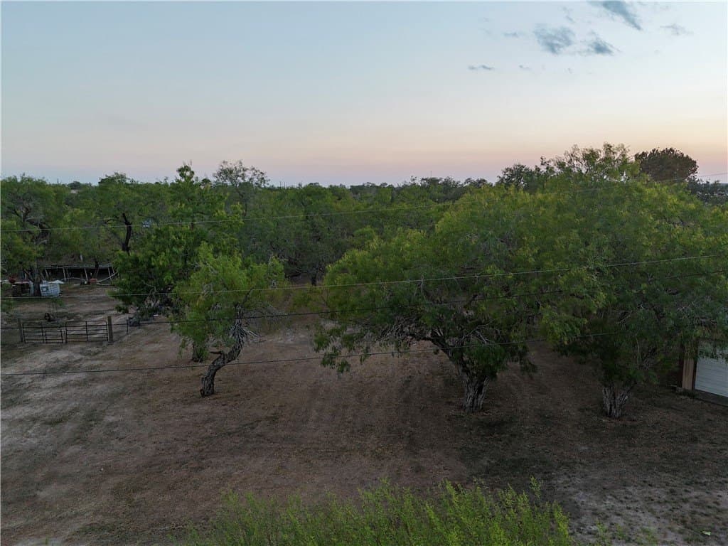 0.2 acres in San Patricio County - photo 16