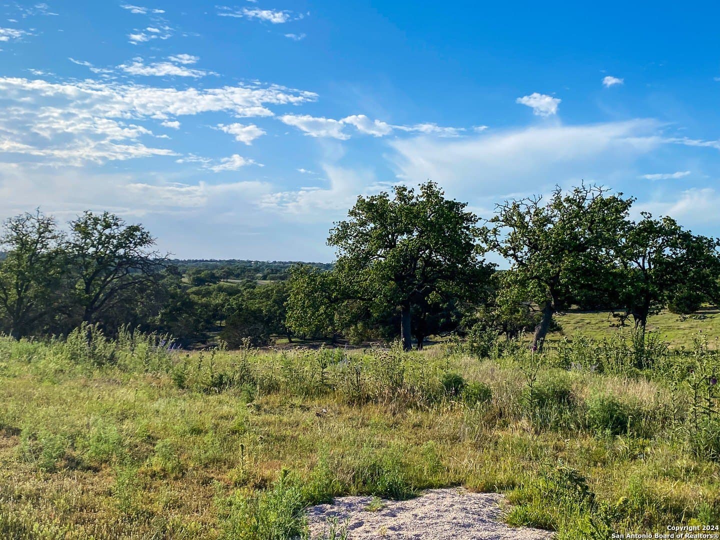 3.42 acres in Gillespie County - photo 11