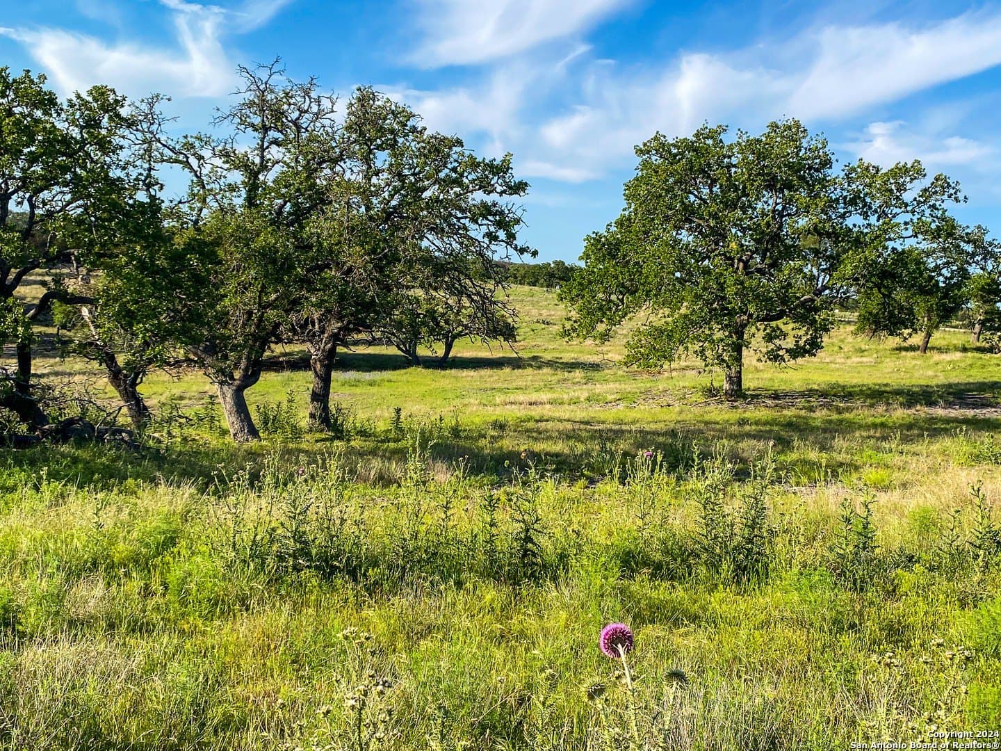 3.42 acres in Gillespie County - photo 3