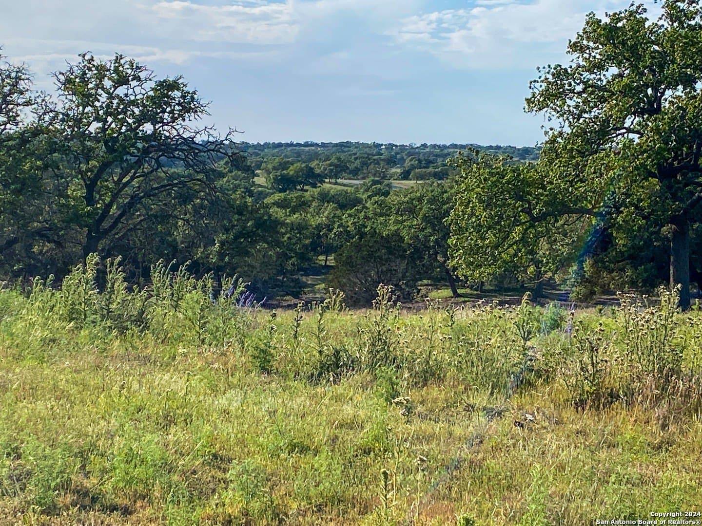 3.42 acres in Gillespie County - photo 12