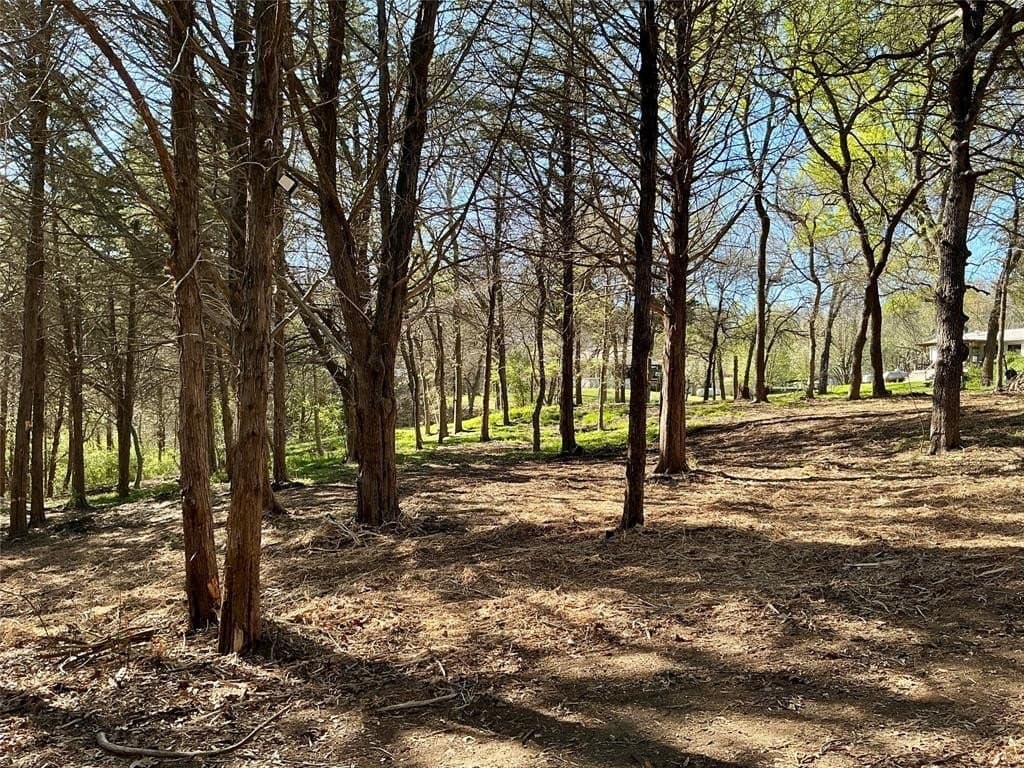 1.06 acres in Grayson County - photo 23