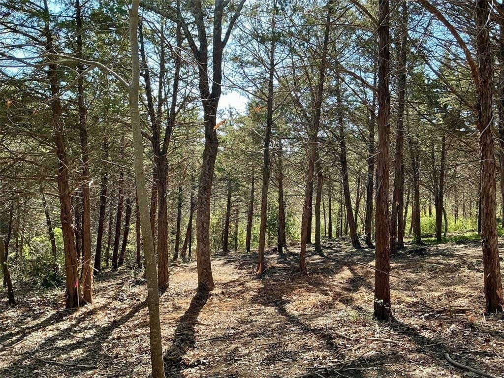 1.06 acres in Grayson County - photo 25