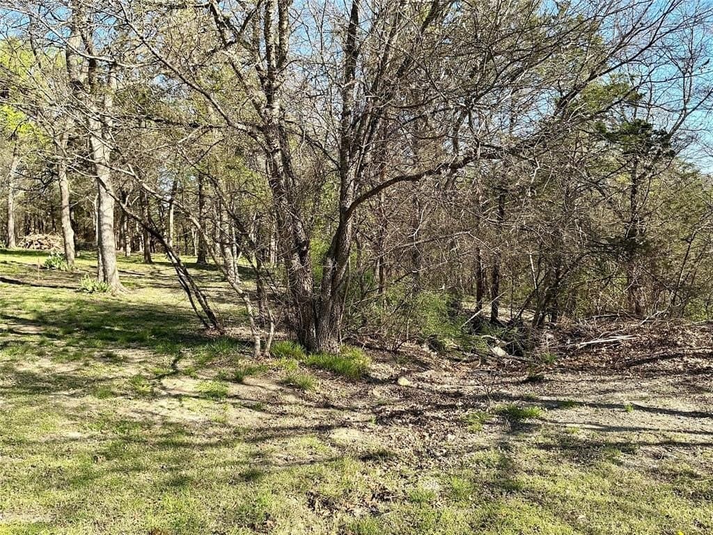 1.06 acres in Grayson County - photo 9