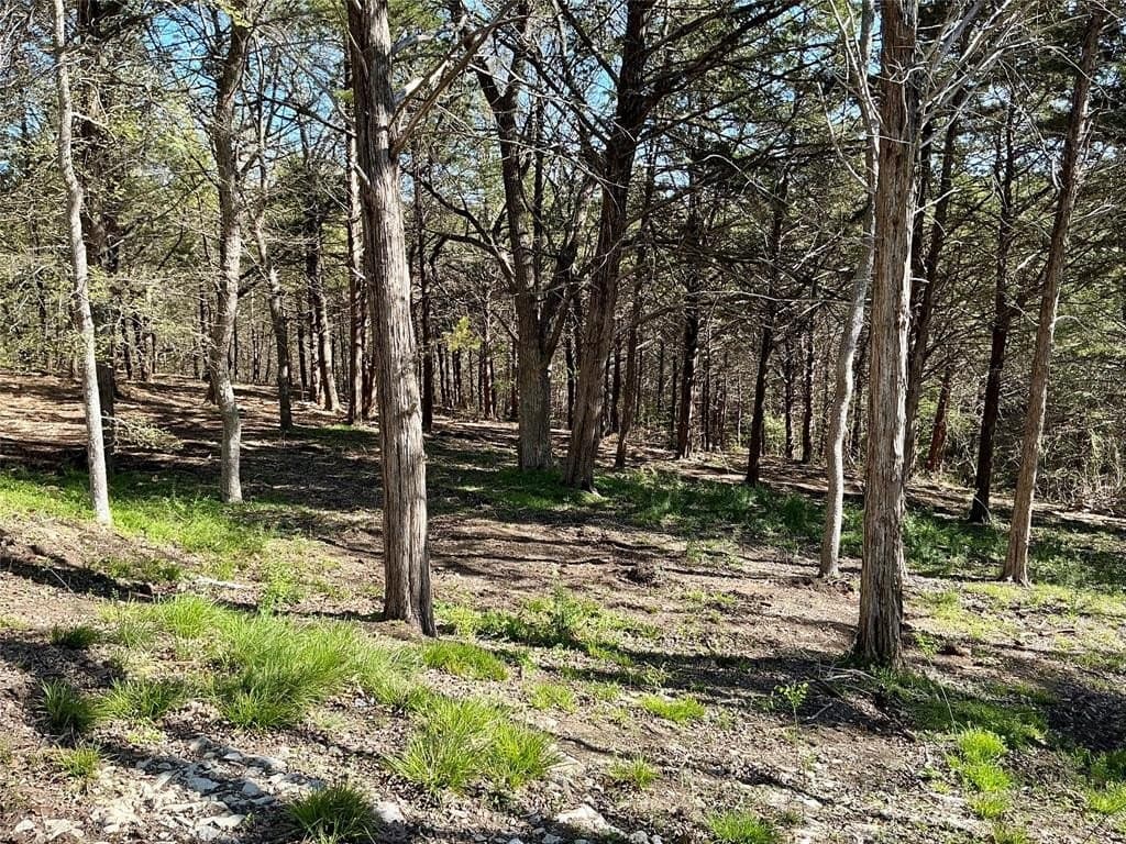 1.06 acres in Grayson County - photo 18