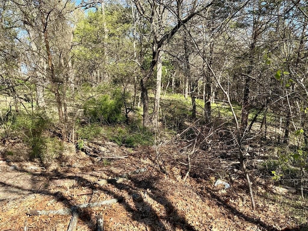 1.06 acres in Grayson County - photo 11