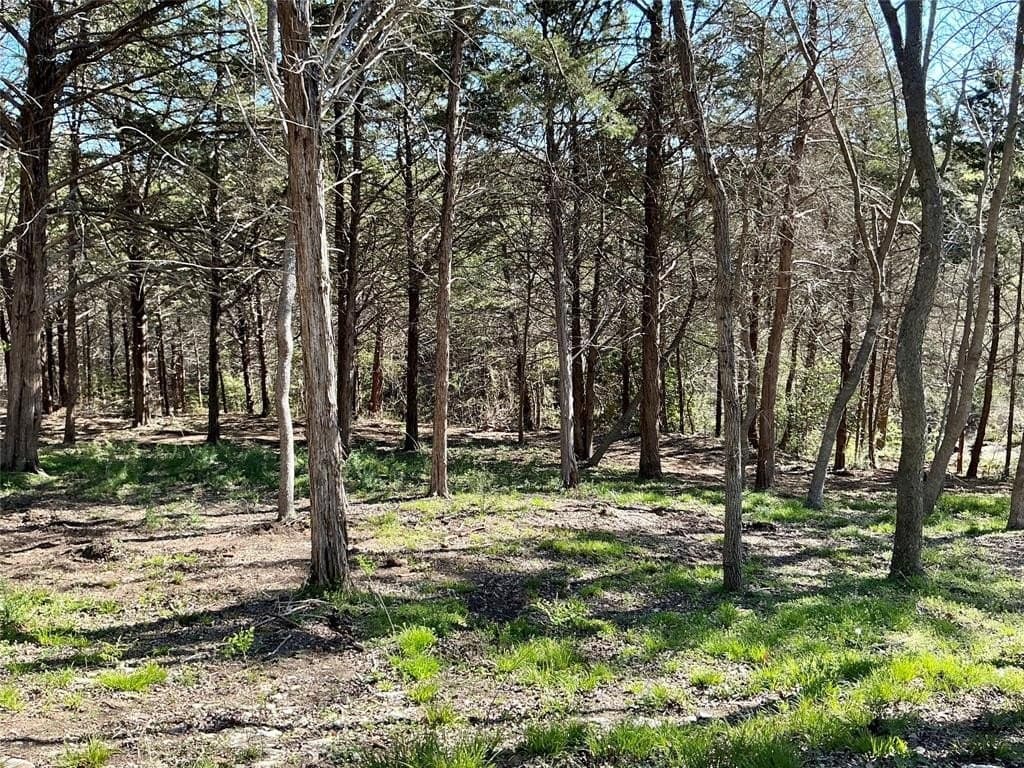1.06 acres in Grayson County - photo 17