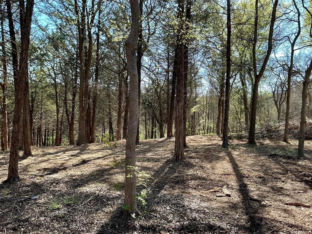 1.06 acres in Grayson County - photo 31