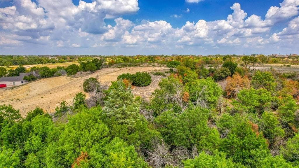2 acres in Parker County - photo 2