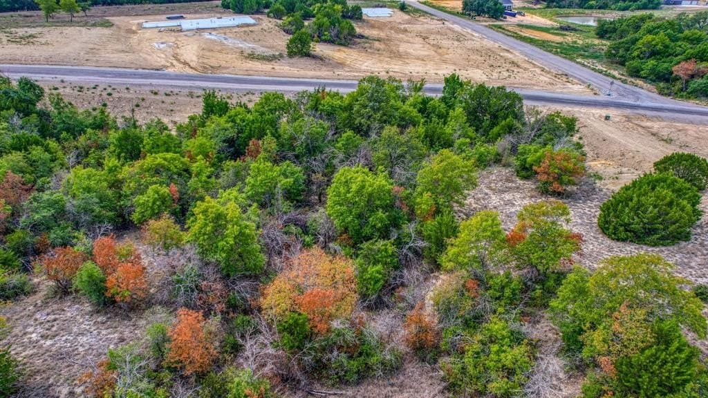 2 acres in Parker County - photo 5