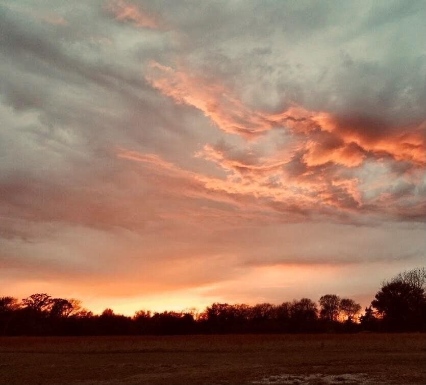 1.32 acres in Rains County - photo 19