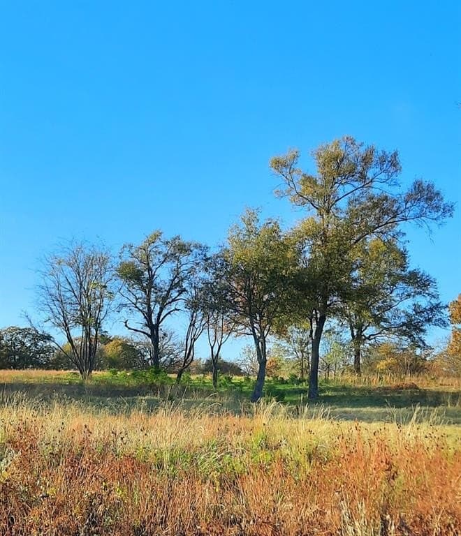 1.32 acres in Rains County - photo 20