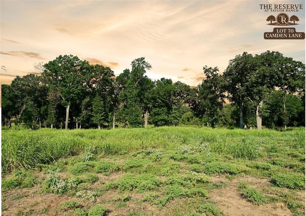 1.91 acres in Parker County - photo 3