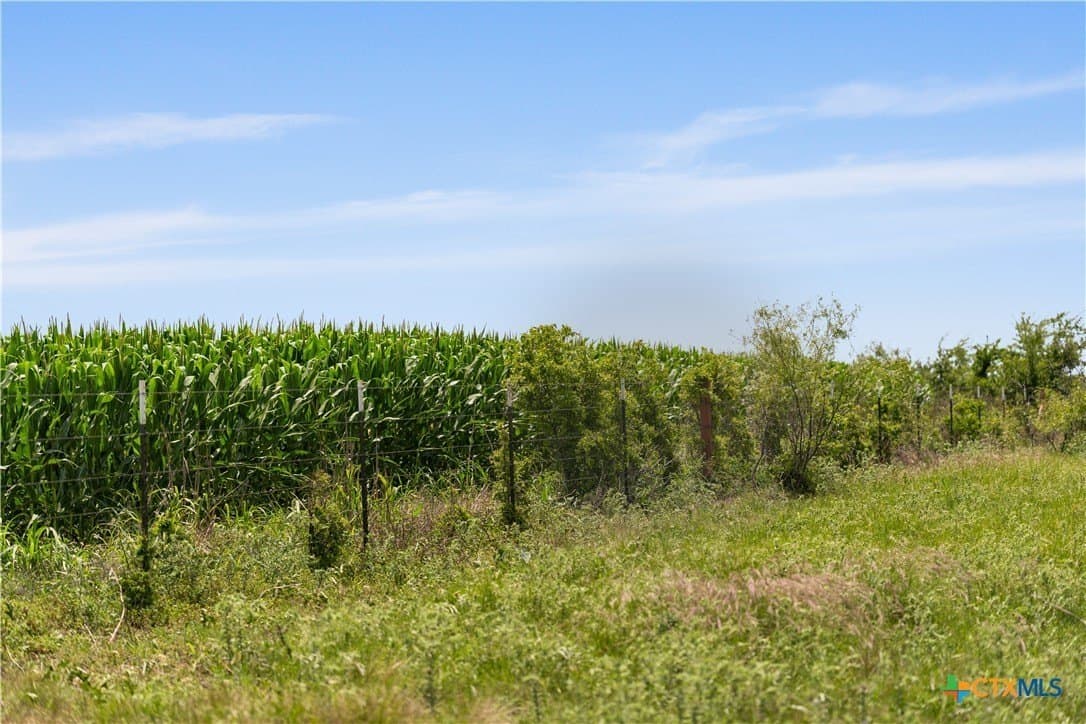 120 acres in Bell County - photo 4