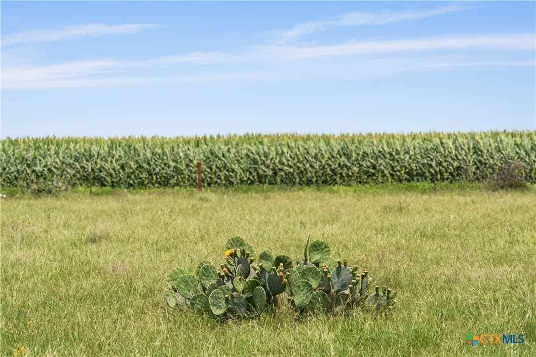 120 acres in Bell County - photo 2