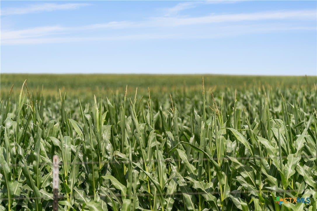 120 acres in Bell County - photo 5