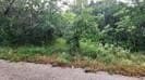 0.11 acres in Hood County - photo 4