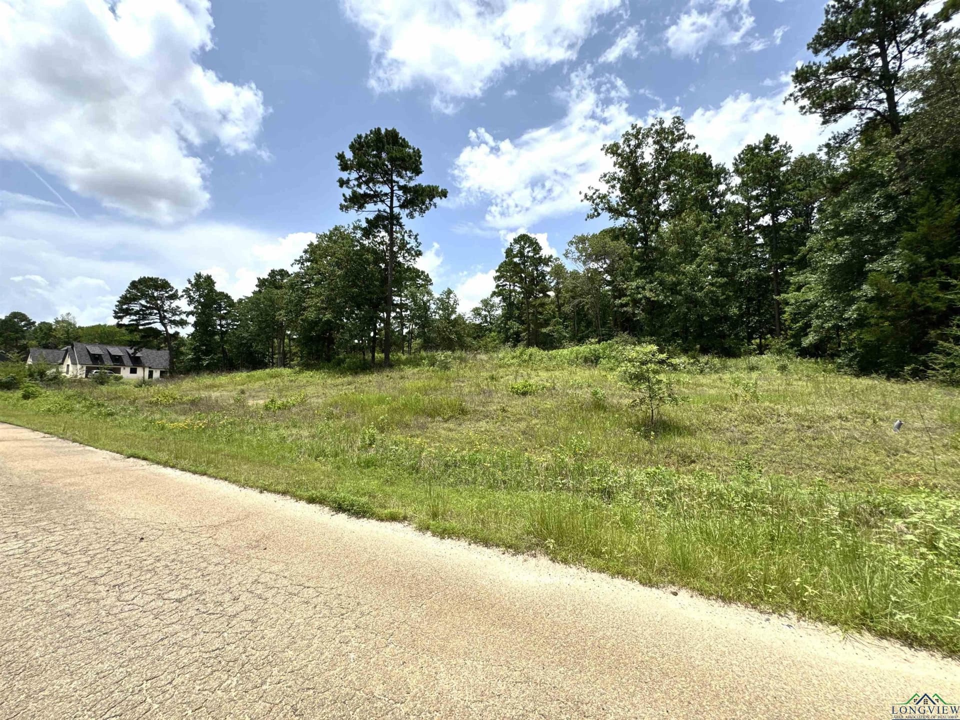1.19 acres in Wood County - photo 3