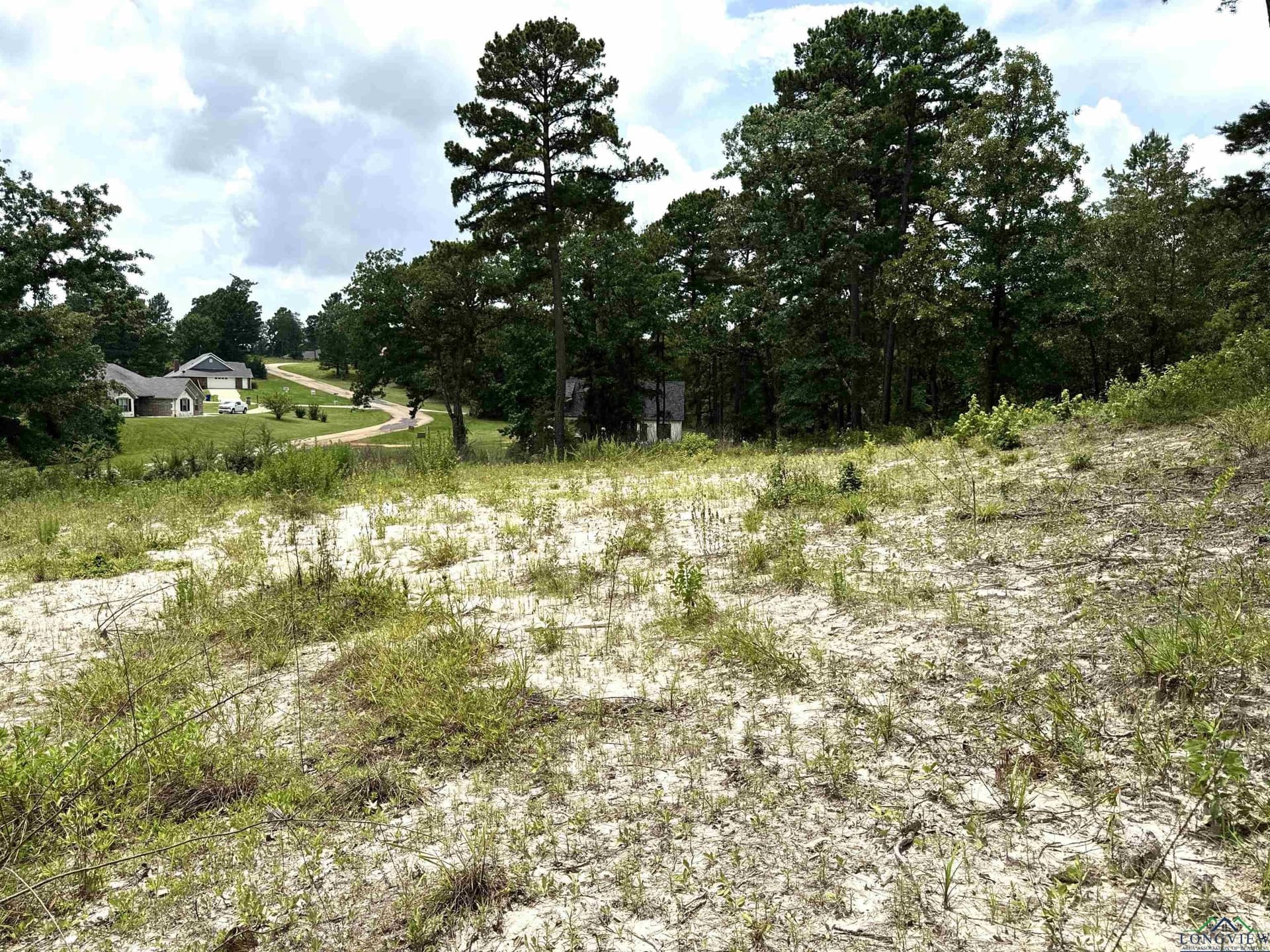 1.19 acres in Wood County - photo 7