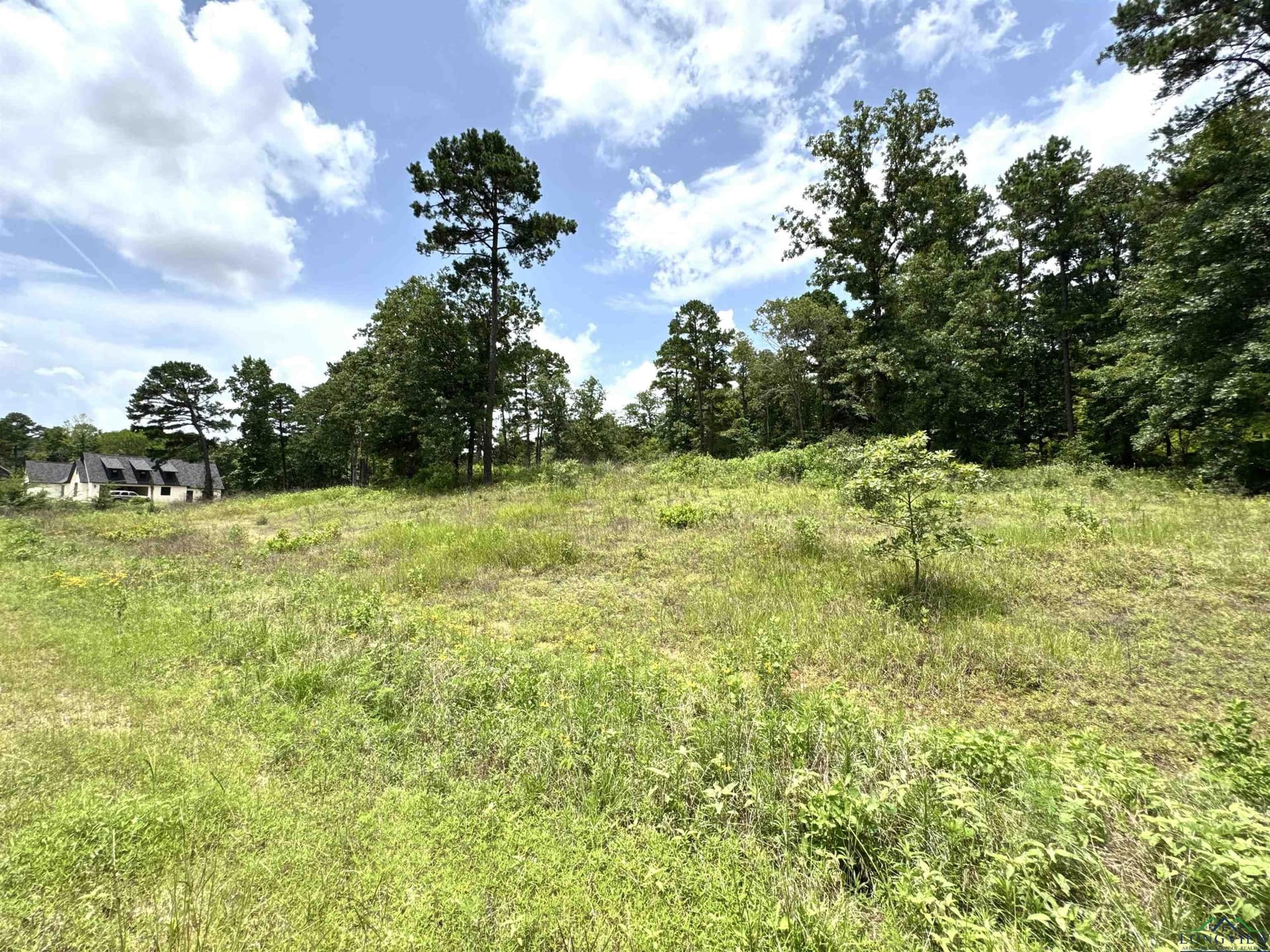 1.19 acres in Wood County - photo 4