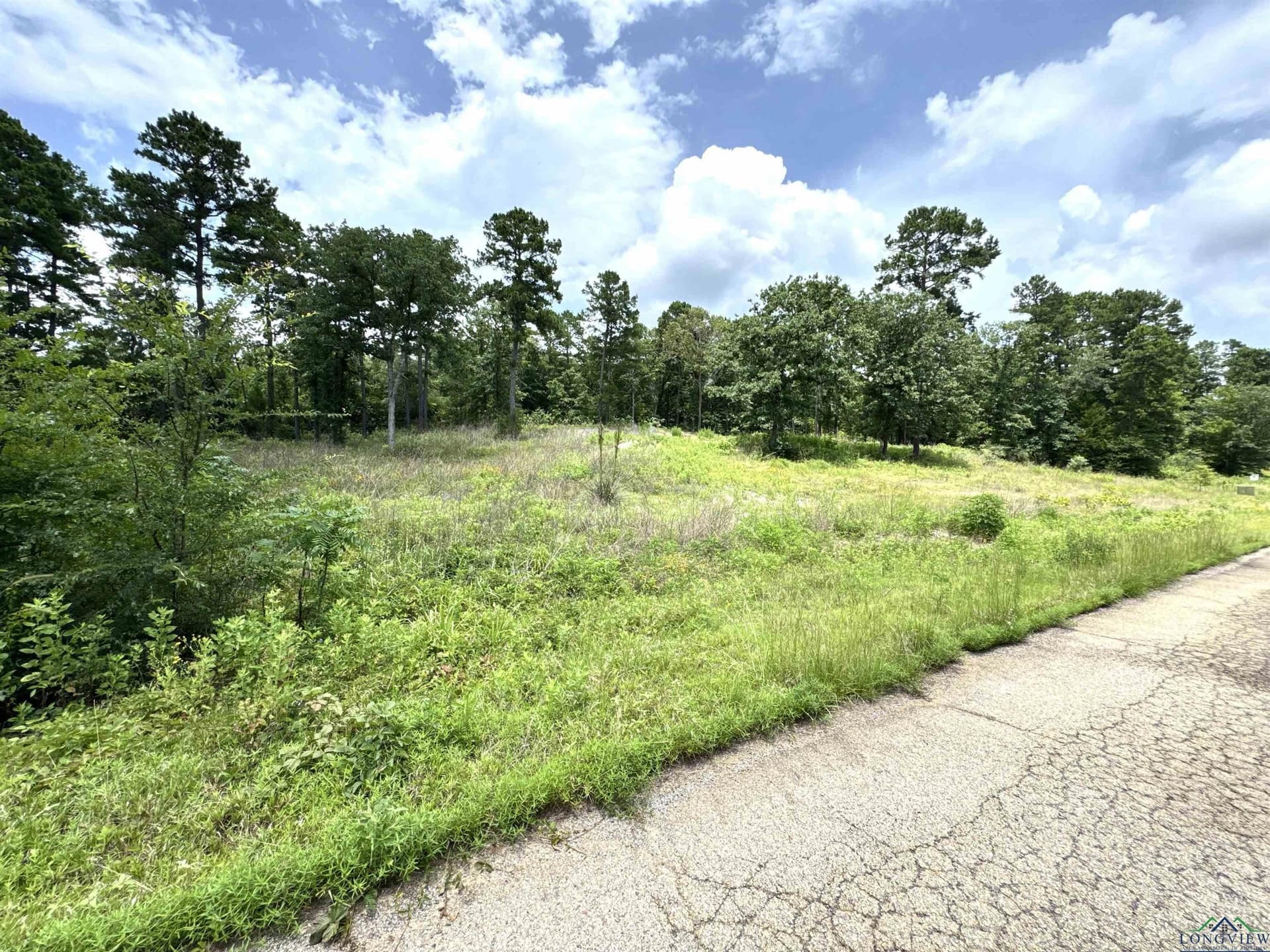 1.19 acres in Wood County - photo 2