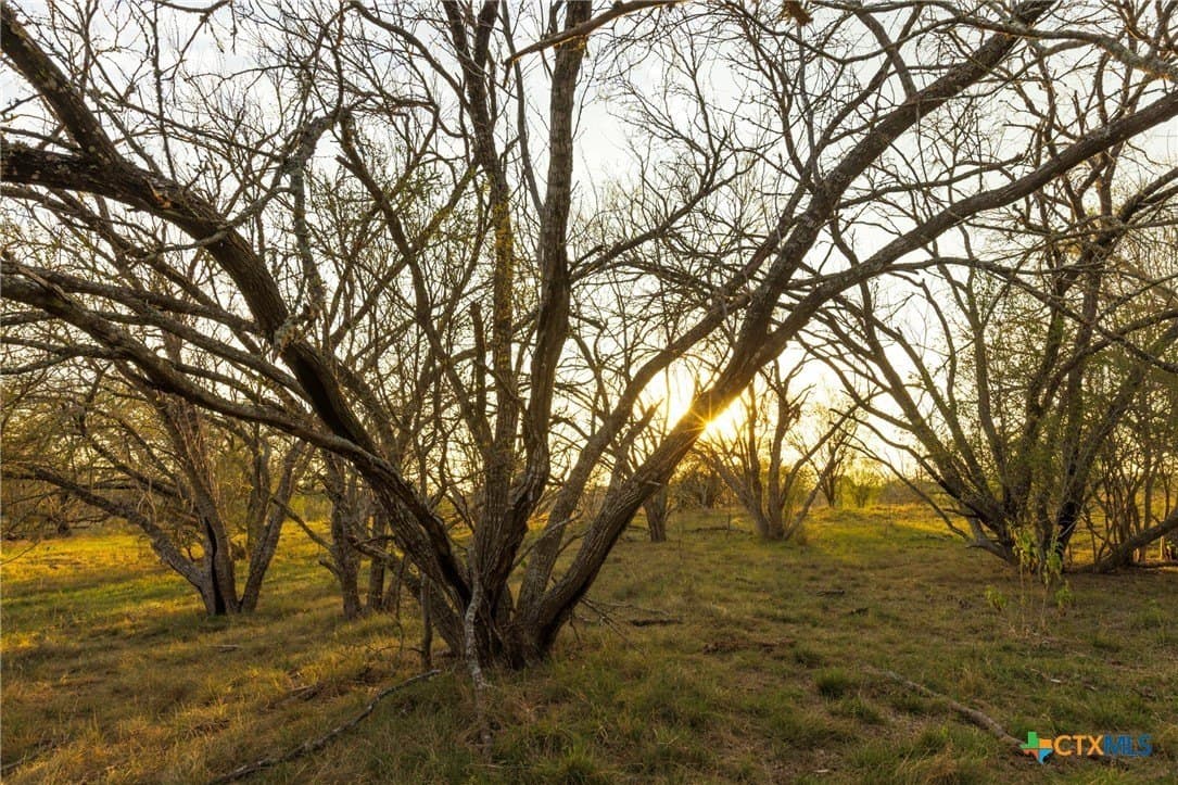 18.84 acres in Guadalupe County - photo 8