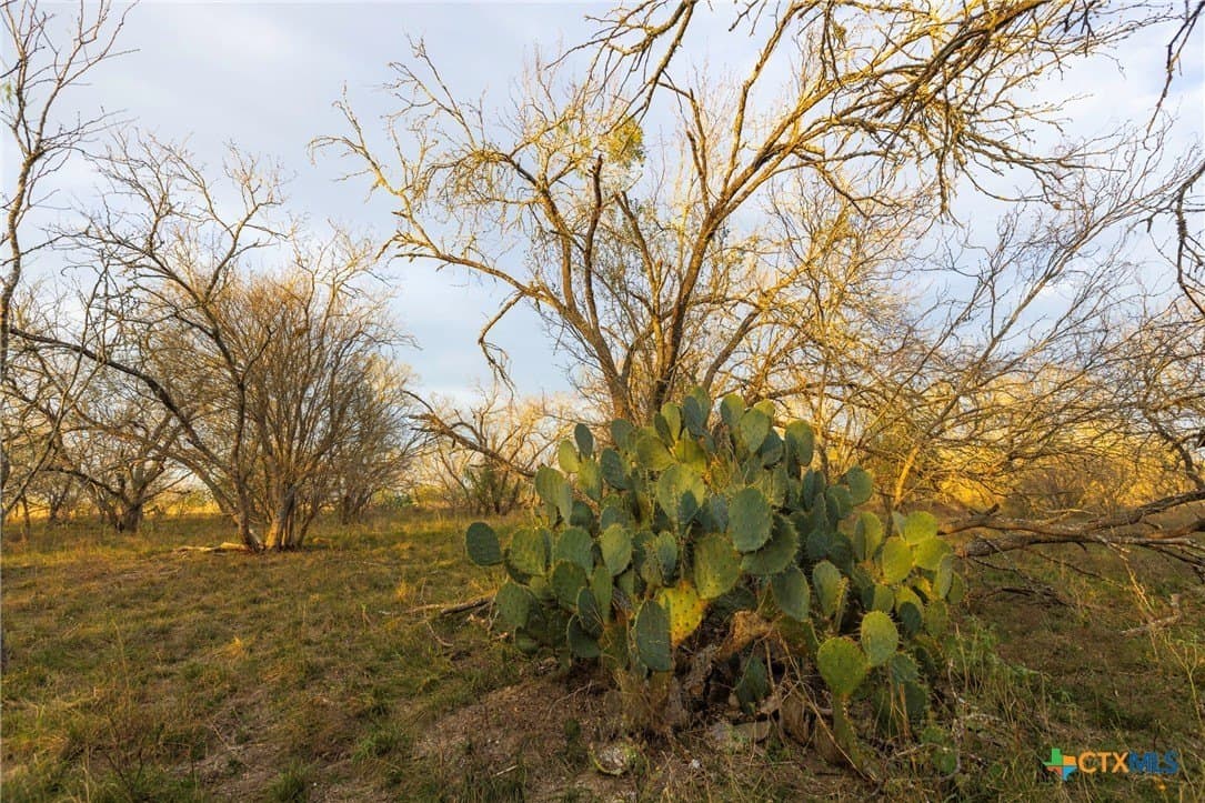 18.84 acres in Guadalupe County - photo 15