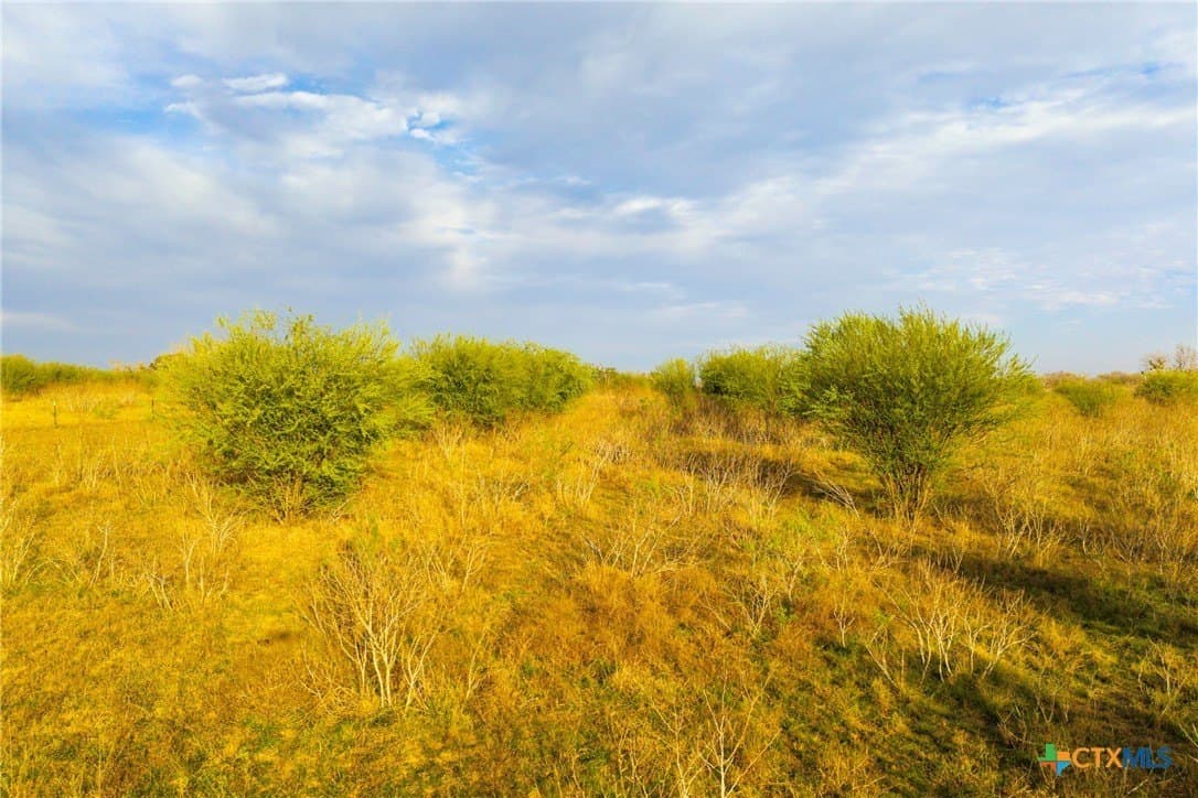 18.84 acres in Guadalupe County - photo 26