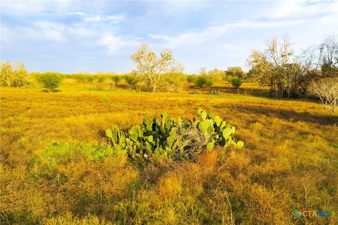 18.84 acres in Guadalupe County - photo 13