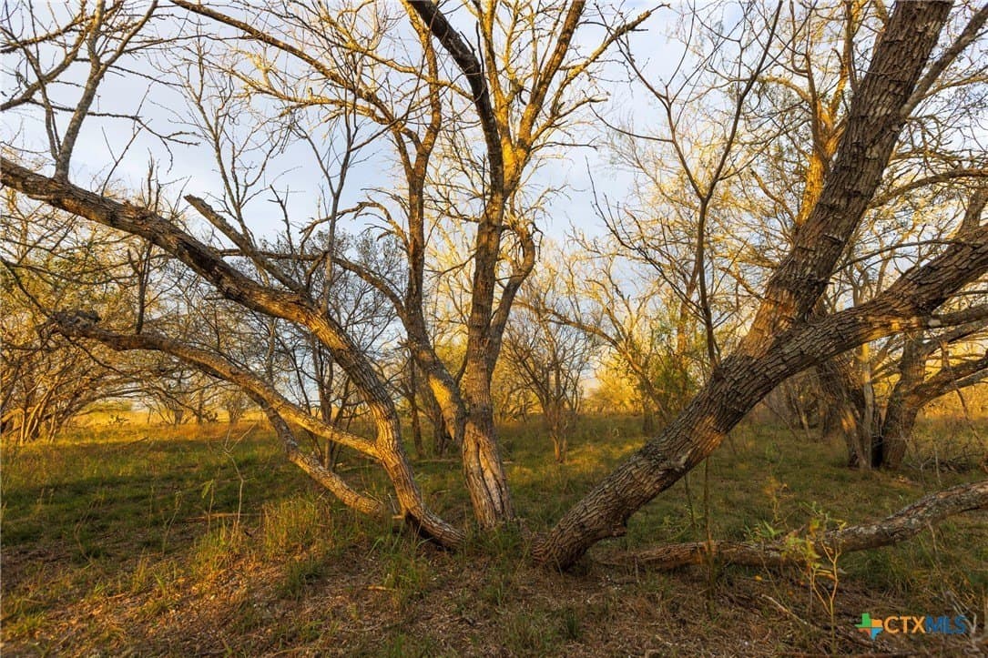 18.84 acres in Guadalupe County - photo 12