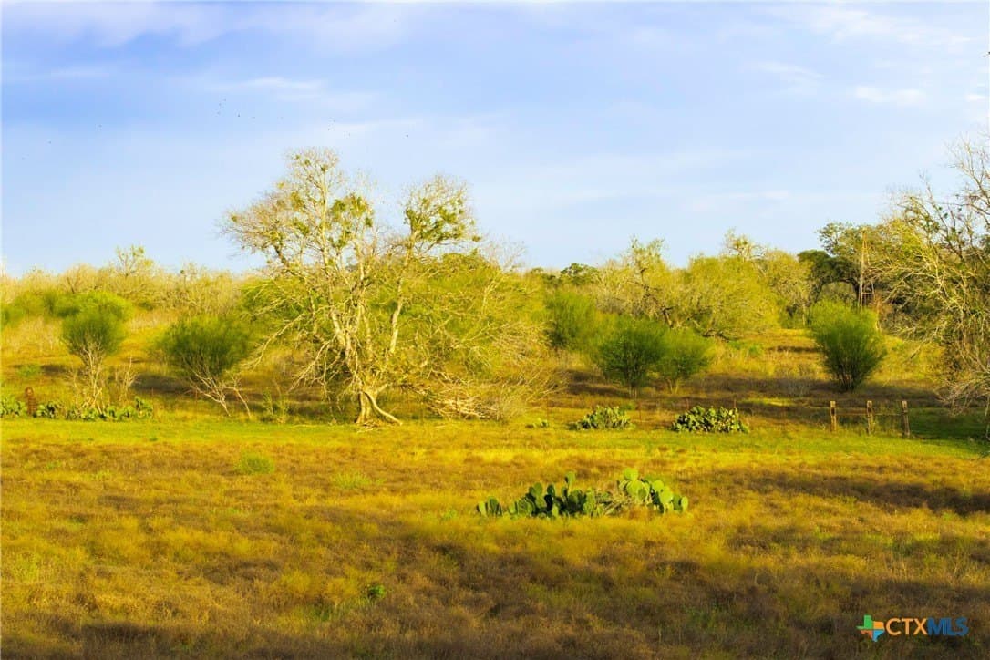 18.84 acres in Guadalupe County - photo 9