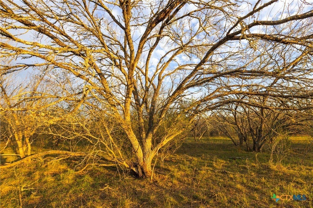 18.84 acres in Guadalupe County - photo 10