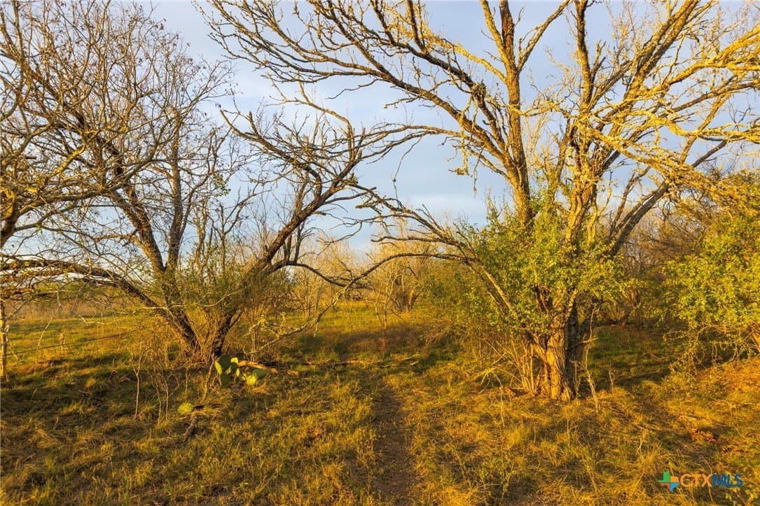 18.84 acres in Guadalupe County - photo 21