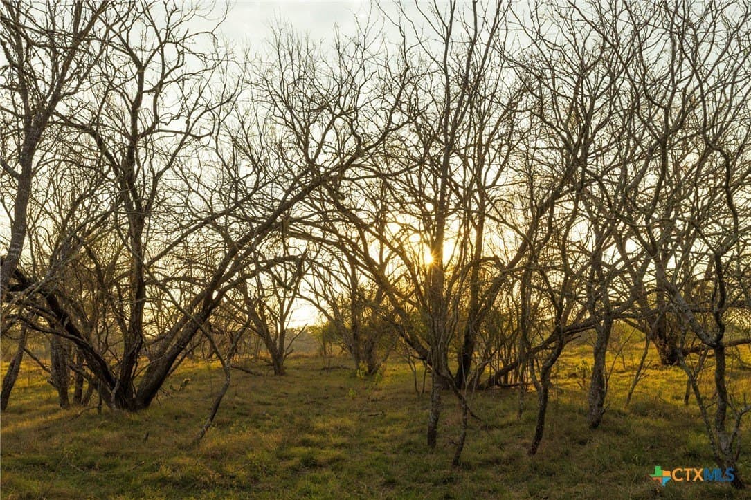 18.84 acres in Guadalupe County - photo 22