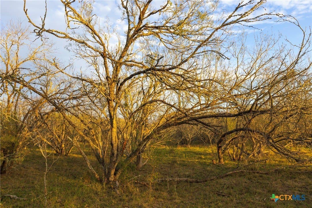 18.84 acres in Guadalupe County - photo 20