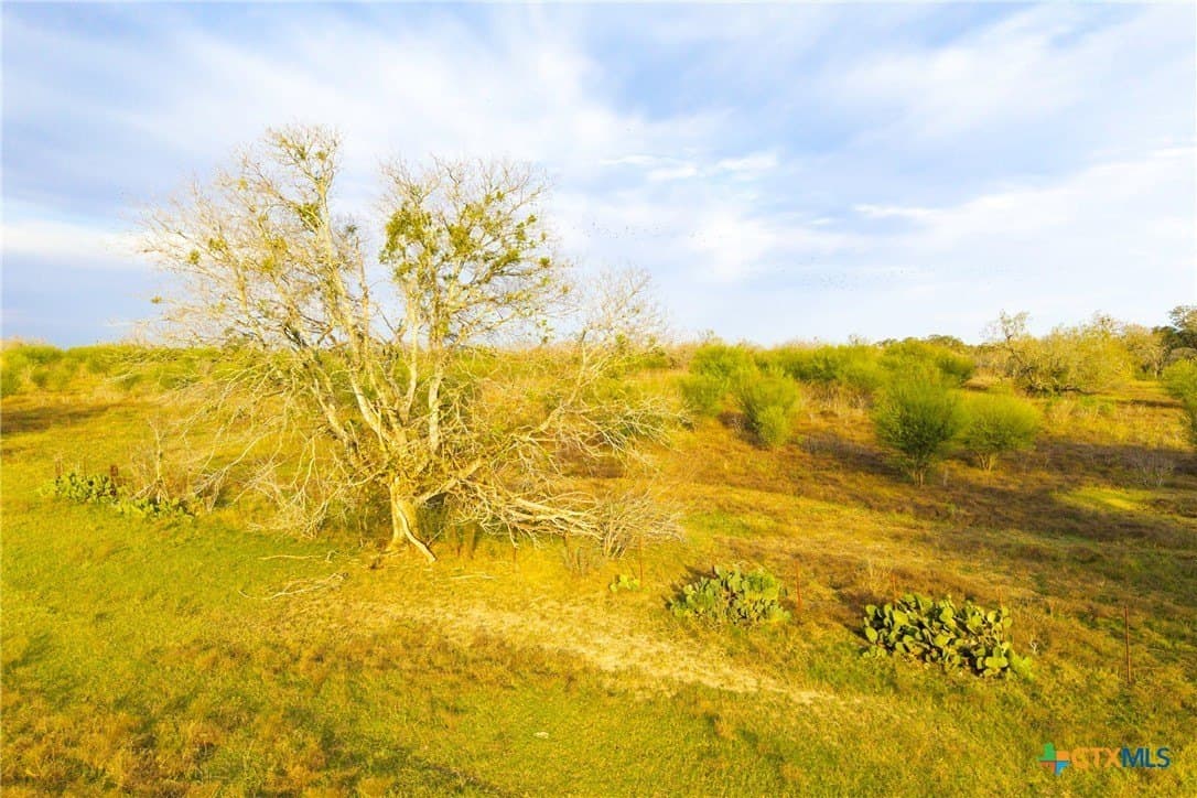 18.84 acres in Guadalupe County - photo 35