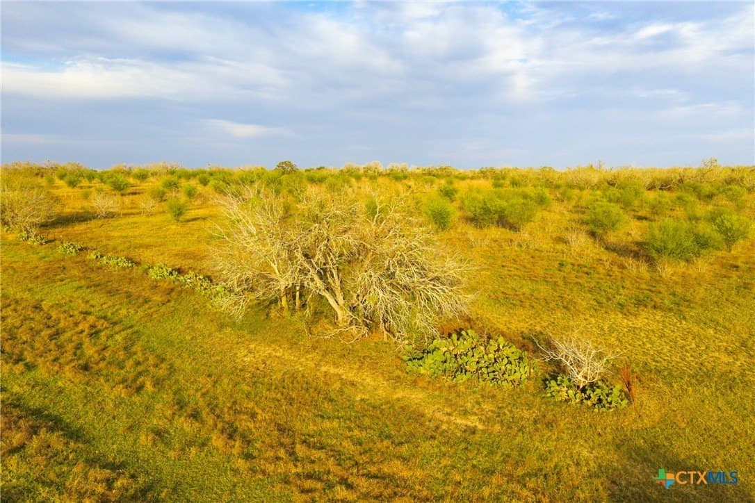 18.84 acres in Guadalupe County - photo 23