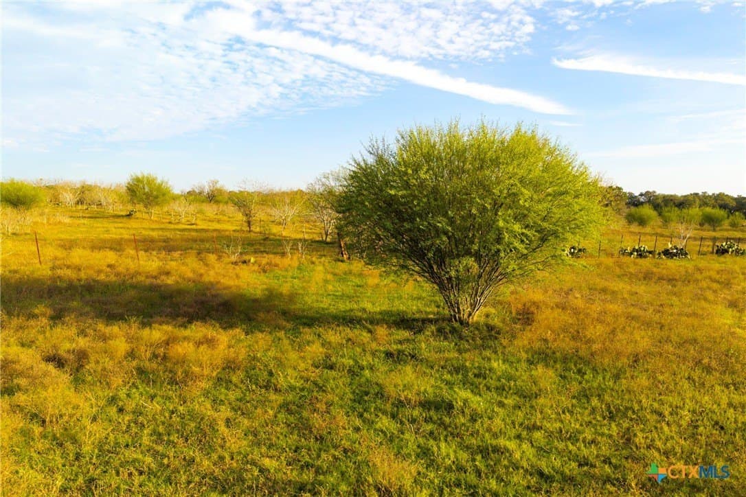 18.84 acres in Guadalupe County - photo 7
