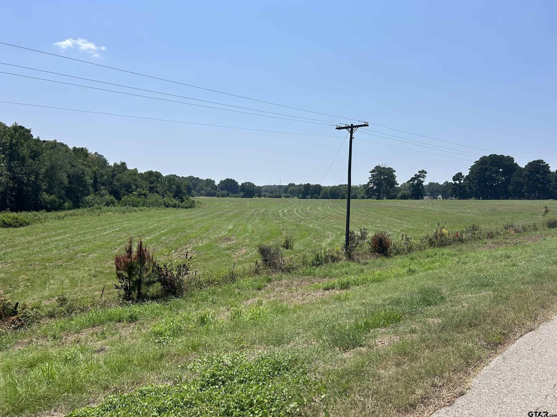 41 acres in Smith County - photo 3