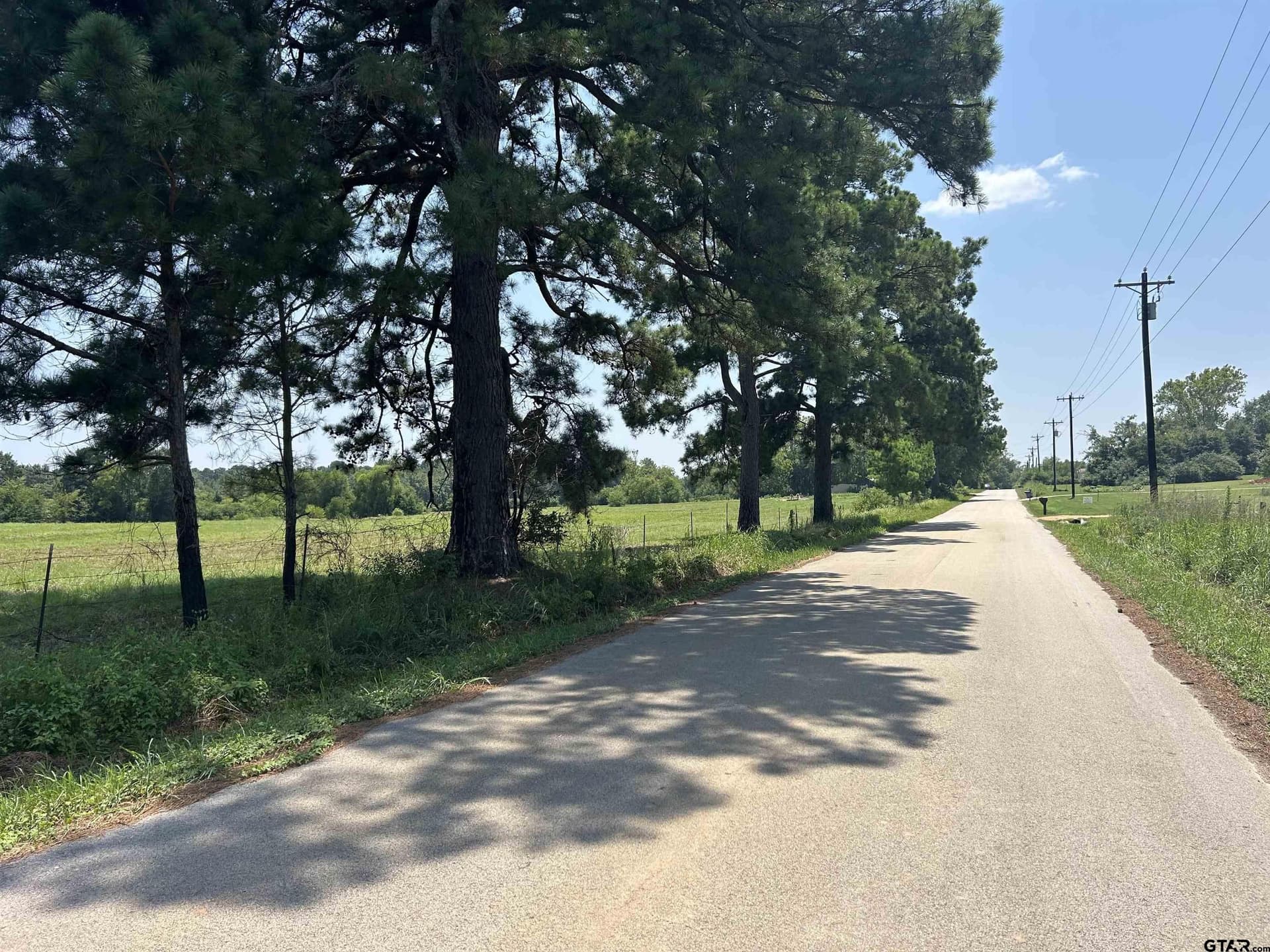 41 acres in Smith County - photo 5