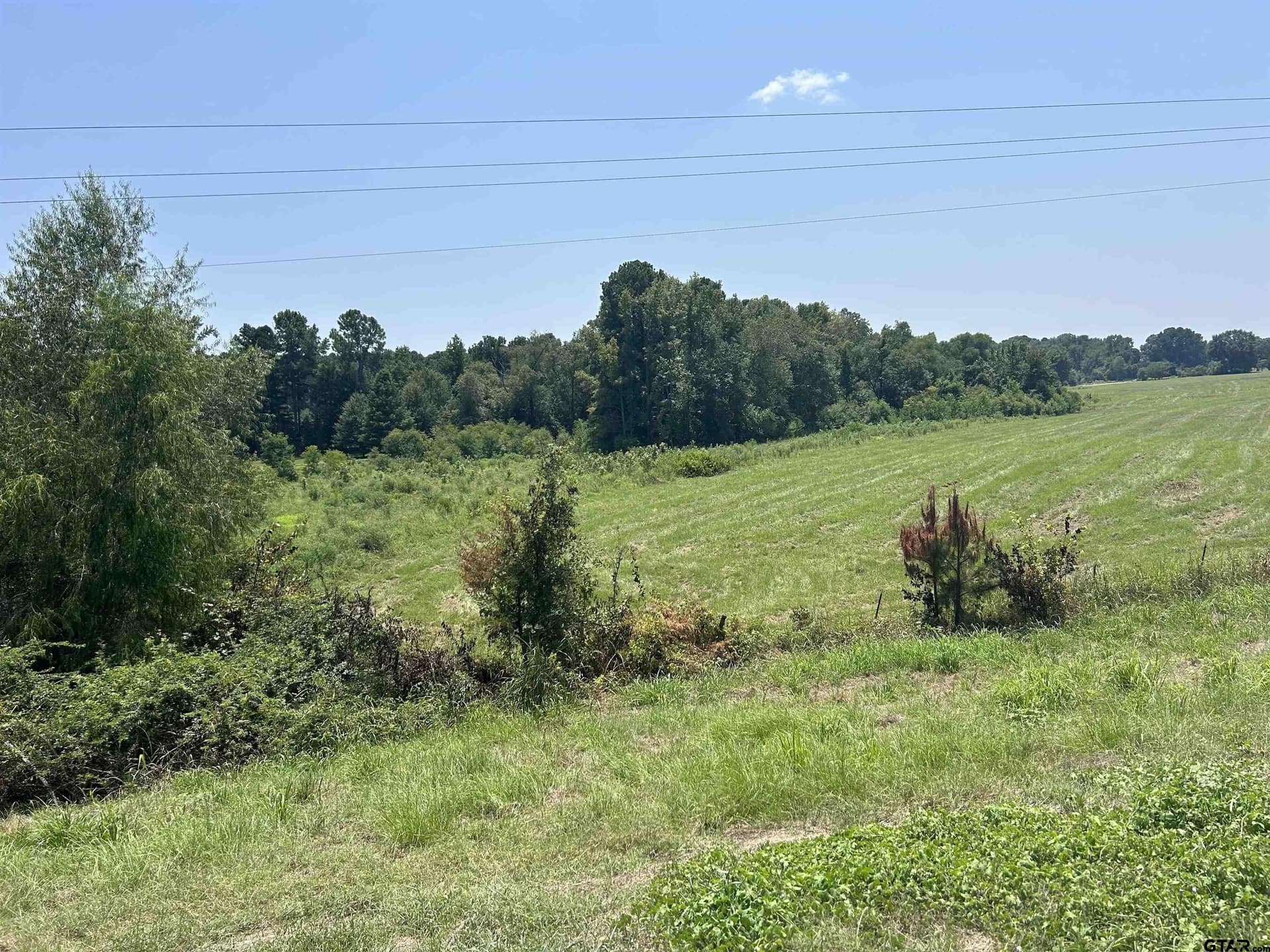 41 acres in Smith County - photo 7
