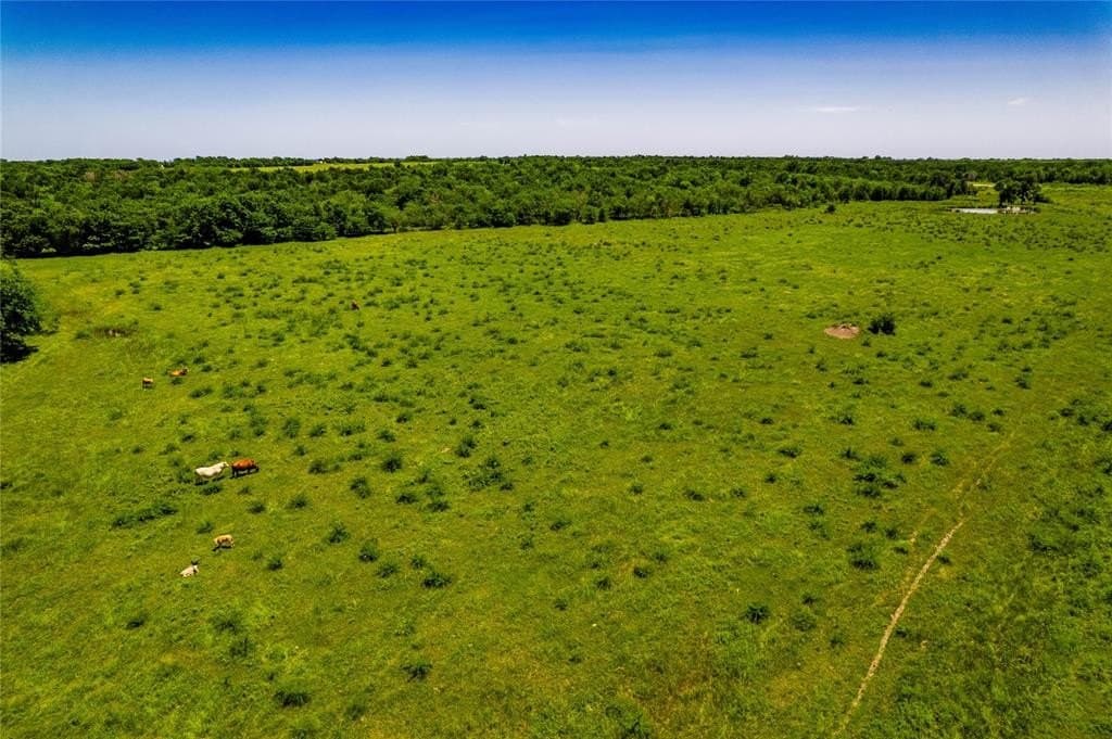 120 acres in Kaufman County - photo 15