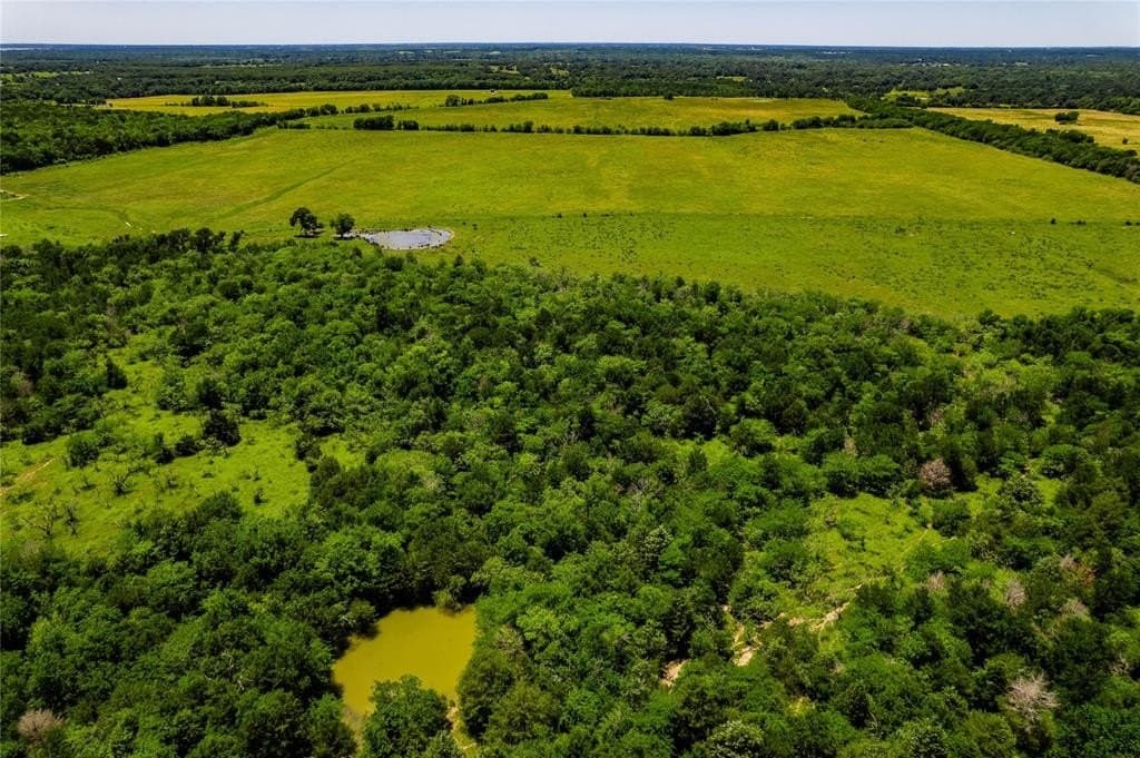 120 acres in Kaufman County - photo 26