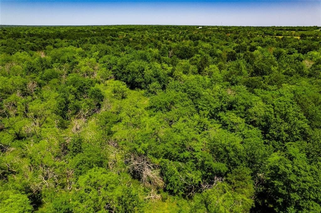 120 acres in Kaufman County - photo 16