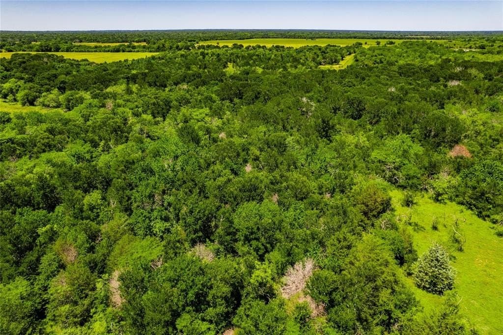 120 acres in Kaufman County - photo 23