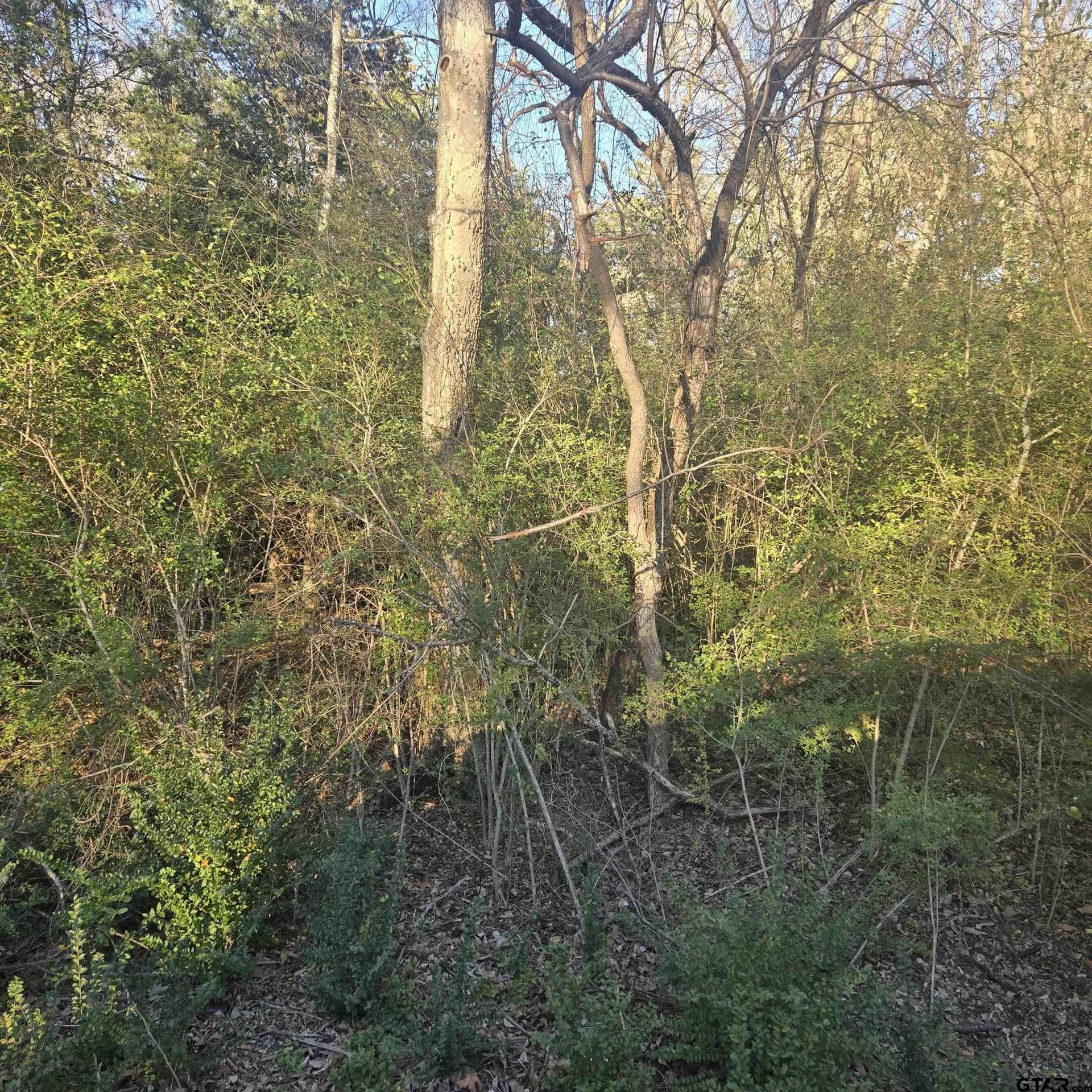 1 acres in Smith County - photo 4