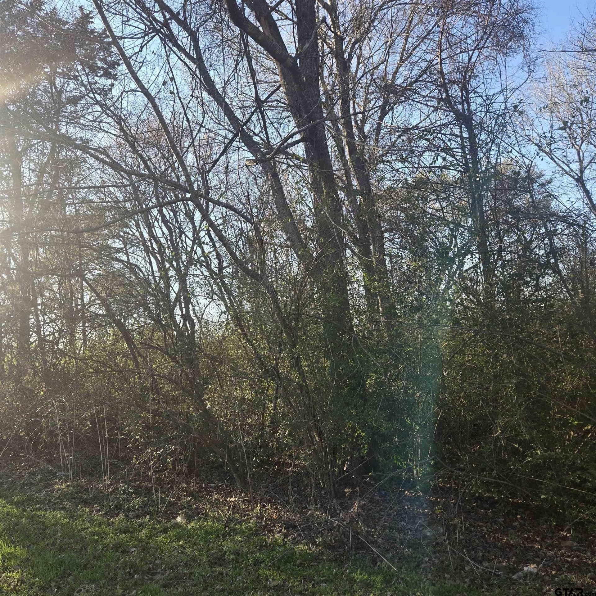 1 acres in Smith County - photo 2