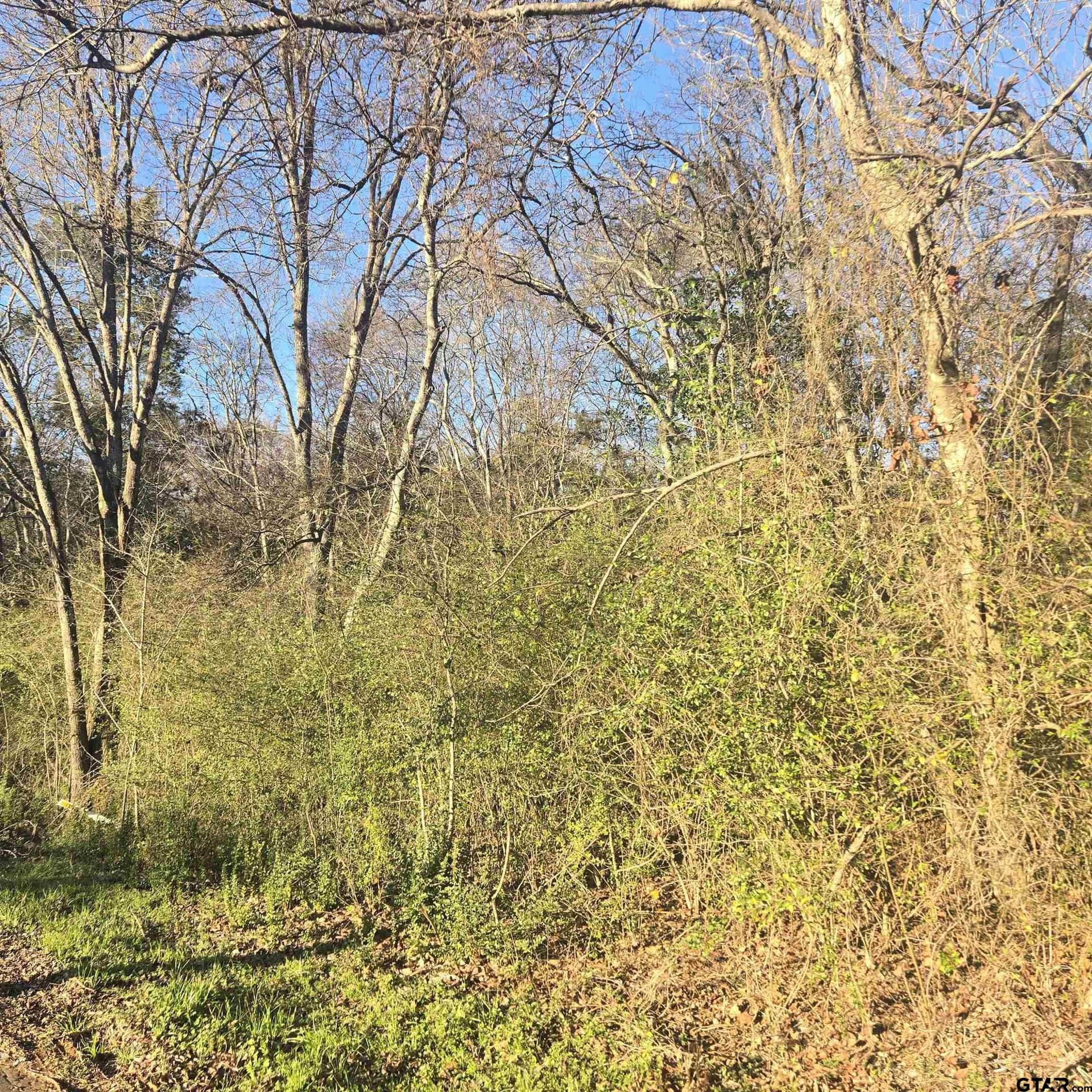 1 acres in Smith County - photo 5