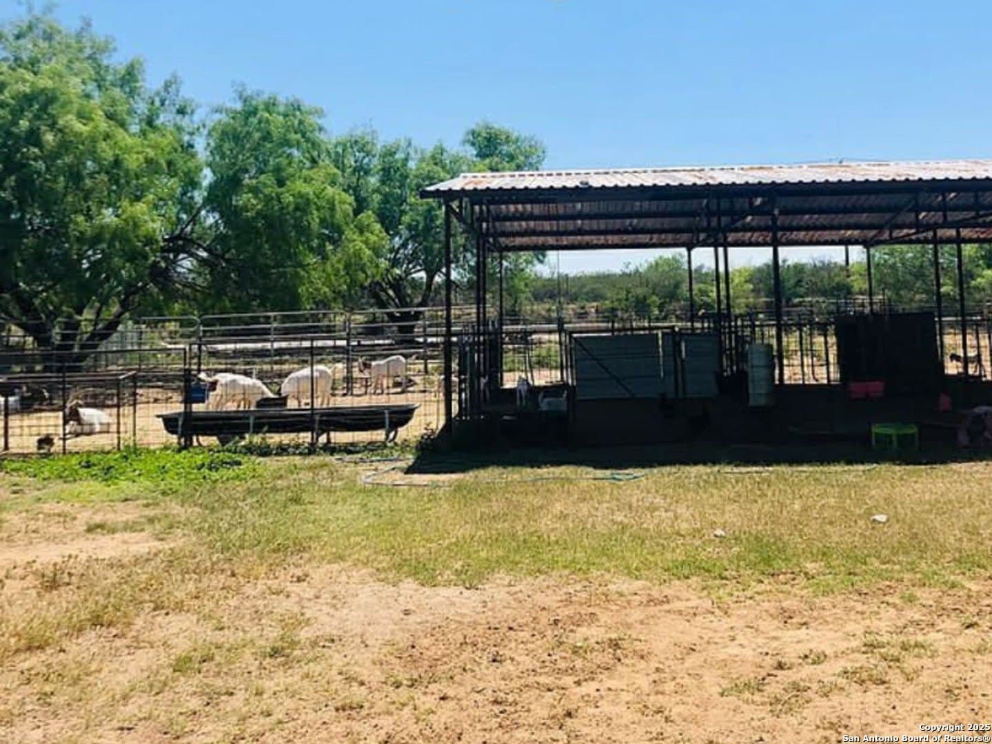 13 acres in Dimmit County - photo 11