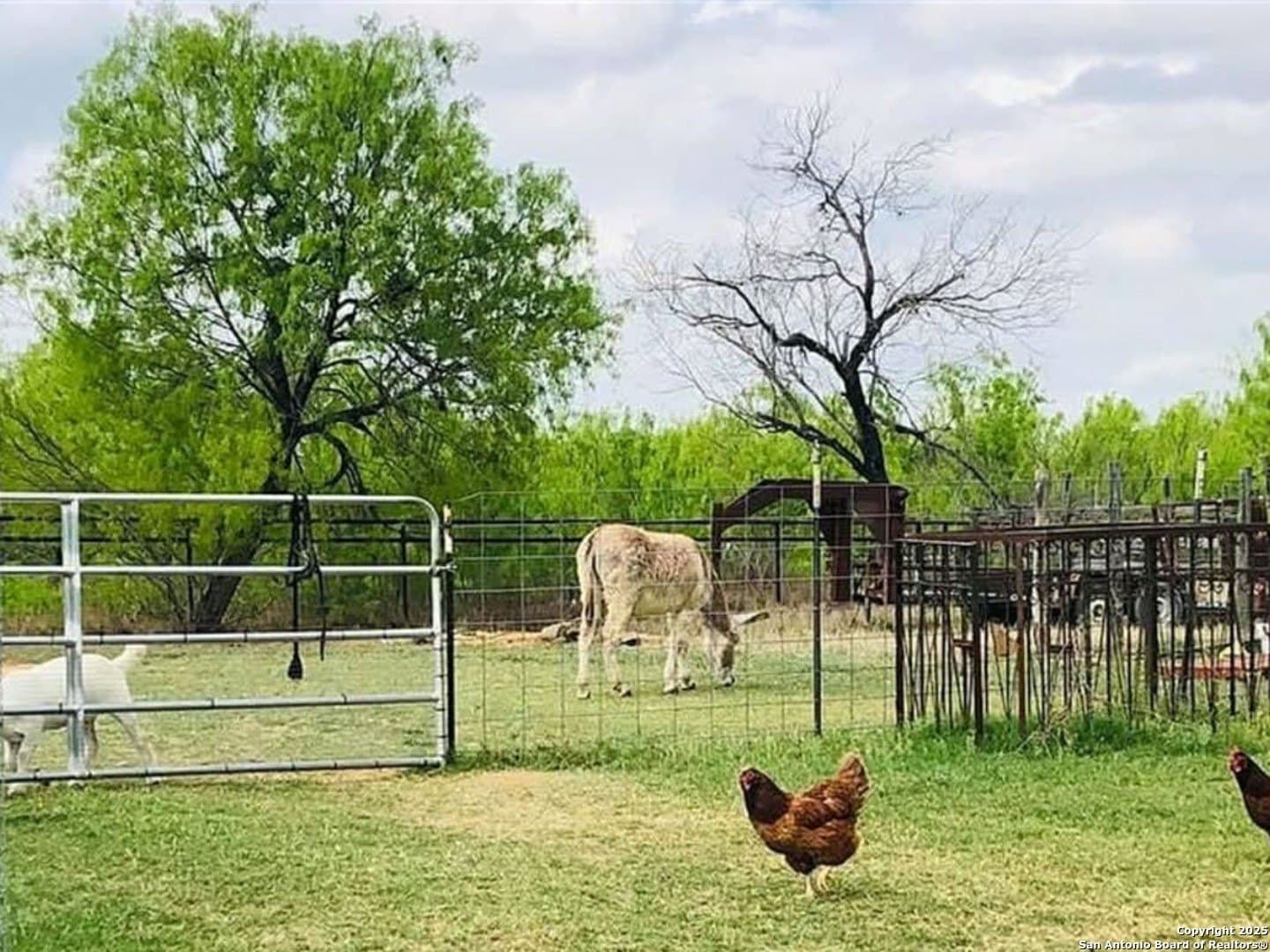 13 acres in Dimmit County - photo 15